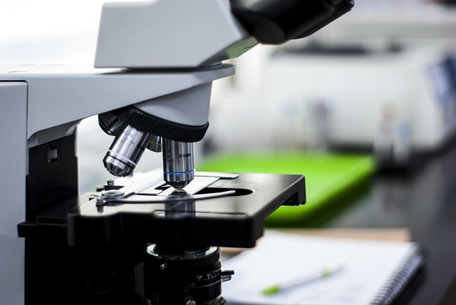 基于聚醚的低氣味聚氨酯彈性體在醫療器械和食品包裝領域的應用前景